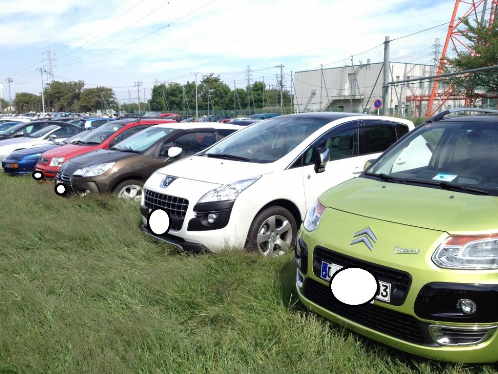 IMG_2219 (1024x768).jpg